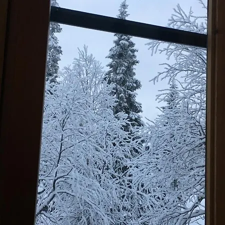 Vuosselin Kuura * كوسامْوُ