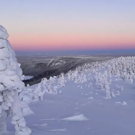 Vuosselin Kuura Σαλέ *