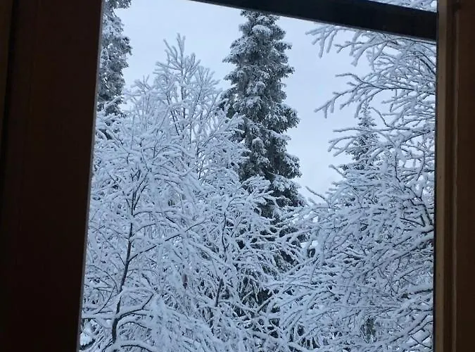 Vuosselin Kuura * Kuusamo