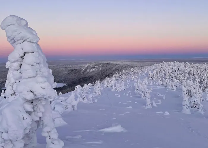 Vuosselin Kuura Alpstuga *